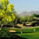 Palm Springs Golf Vacation