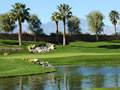 Palm Springs Golf Courses: Indian Springs Golf Club