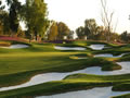 Palm Springs Golf Courses: Indian Wells Golf Resort